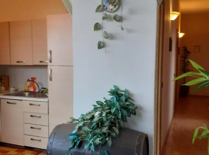 Mistral Di Lizzio Salvatore Couette-café